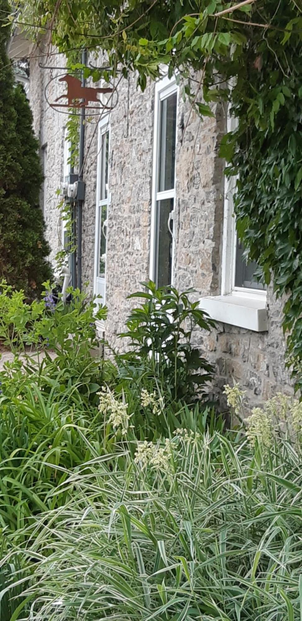 Stone Carriage House Villa Picton Dış mekan fotoğraf